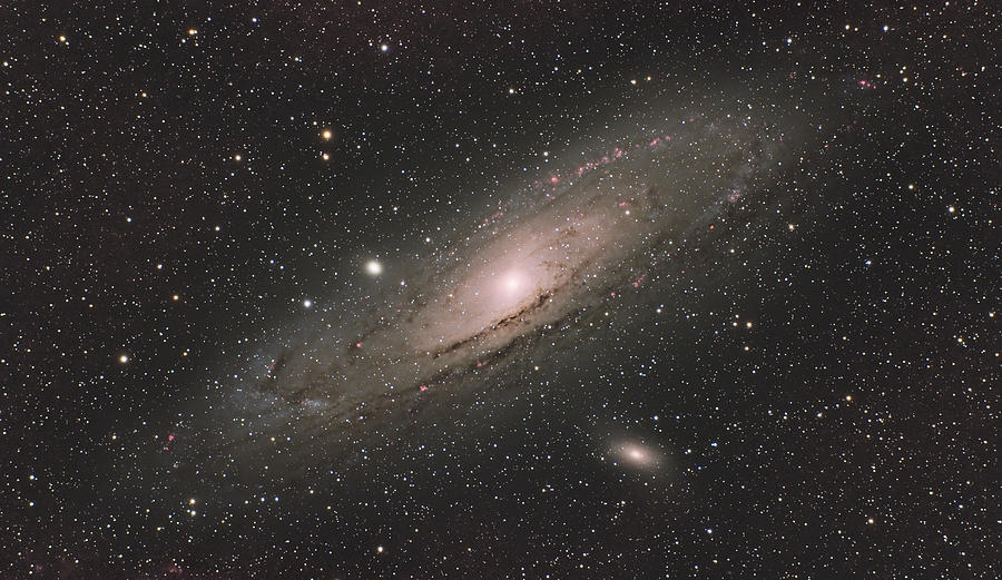 Andromeda Galaxy Photograph by Brian Weber
