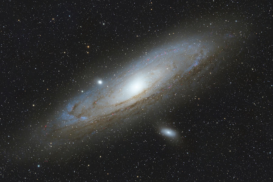 Andromeda Galaxy Photograph by Dana Matson