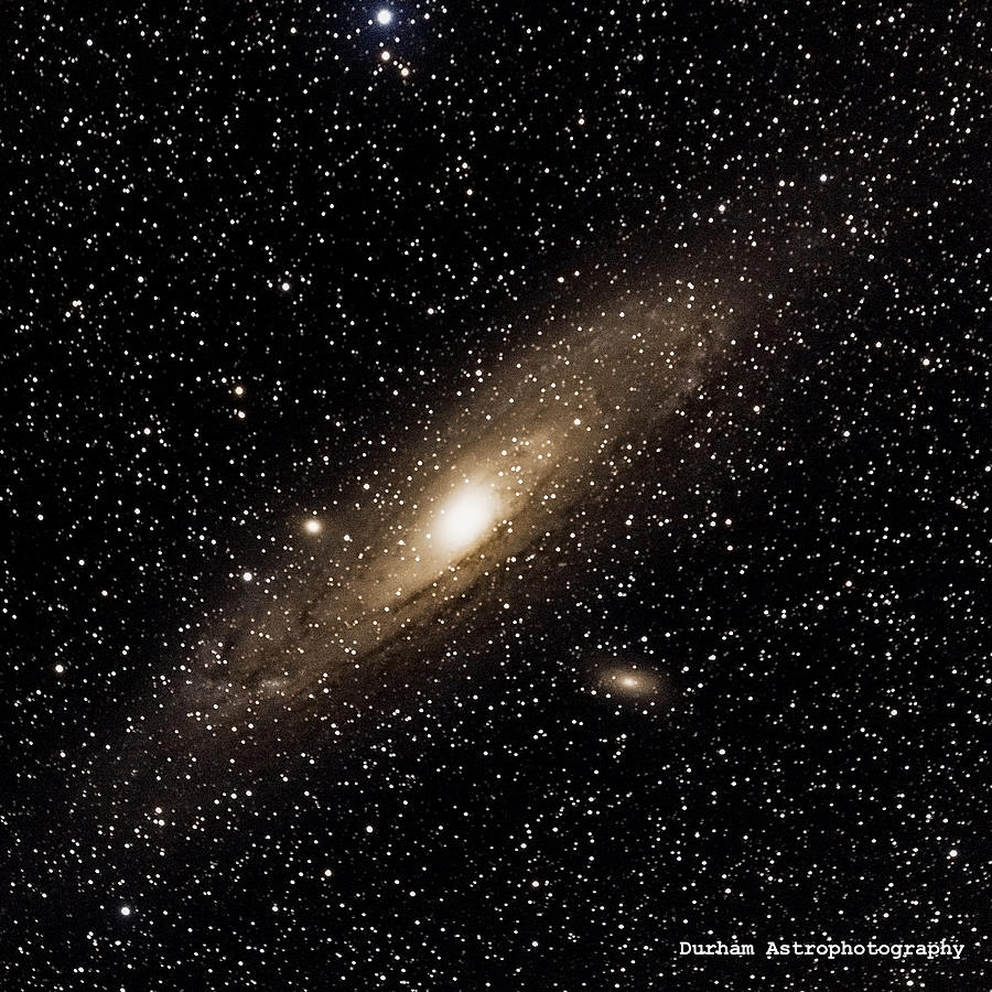 Andromeda Galaxy Photograph by The Cosmic Kiddo - Pixels