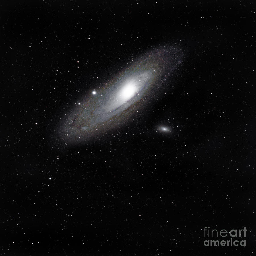 Andromeda Photograph by Mark Jackson Andromeda Photograph by Mark Jackson