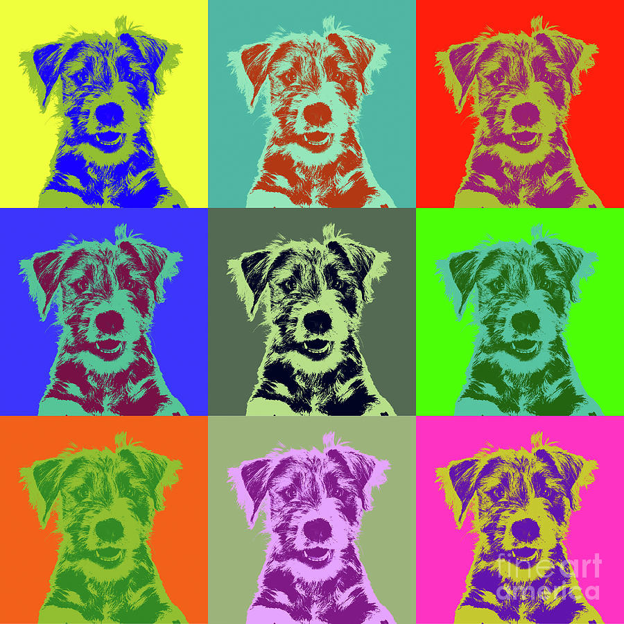Andy Warhol Dog Photograph by Warren Photographic
