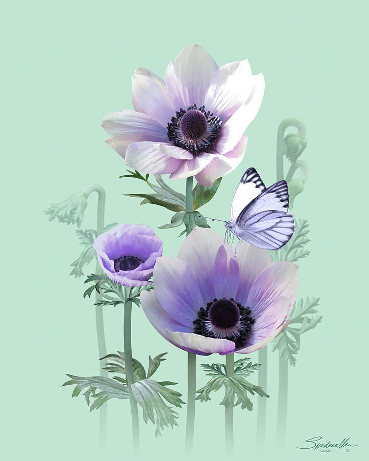 Anemone Harmony Pearl  Digital Art by M Spadecaller