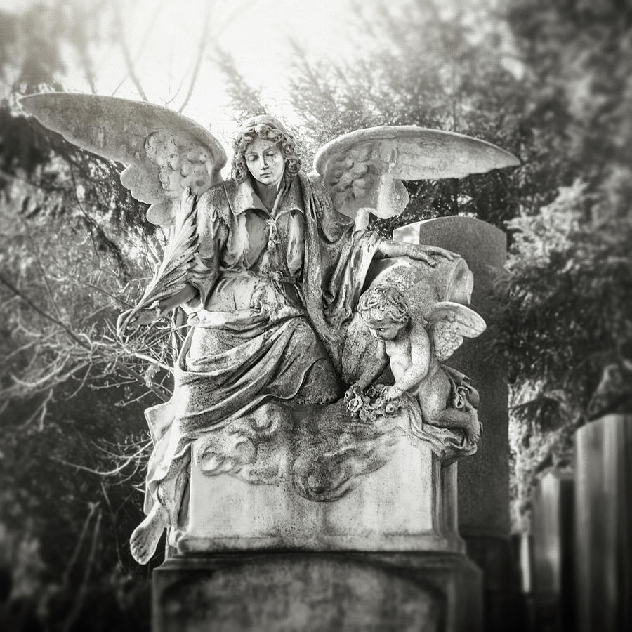 Angel and Cherub Zentralfriedhof Vienna Black and White Square Photograph by Carol Japp
