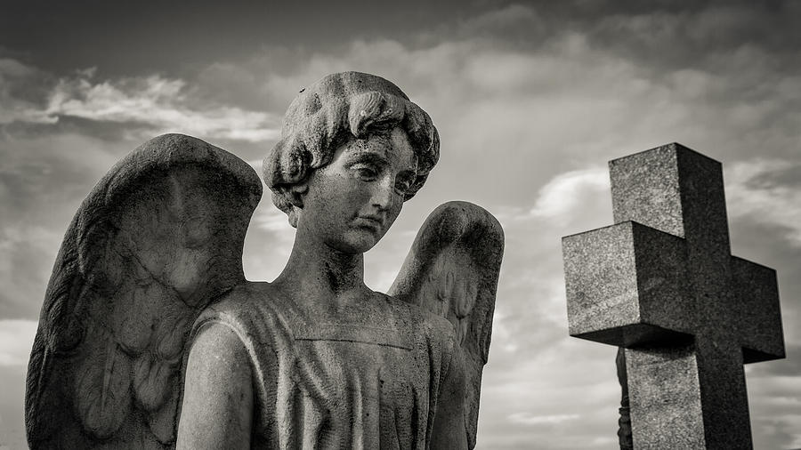 Angel and cross in the cemetery Photograph by Vicente Méndez