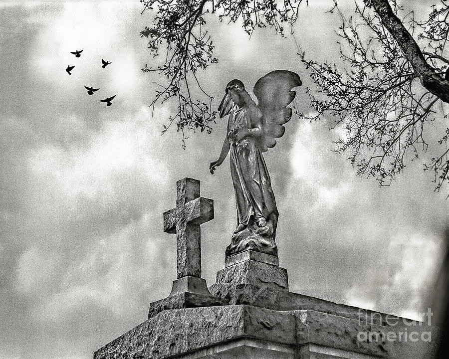 Angel And Cross, New Orleans, Louisiana Photograph by Don Schimmel