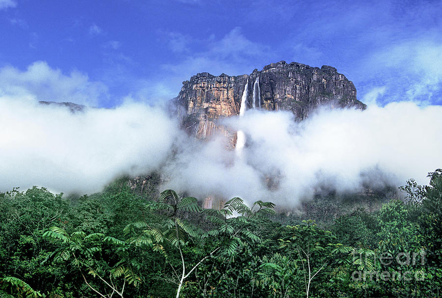 Angel Falls Rainforest Canaima National Park Photograph by Dave Welling