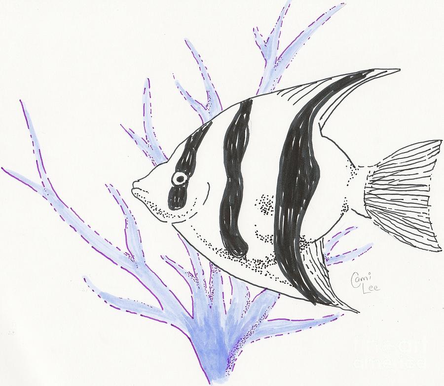 Angel Fish and Coral Drawing by Cami Lee