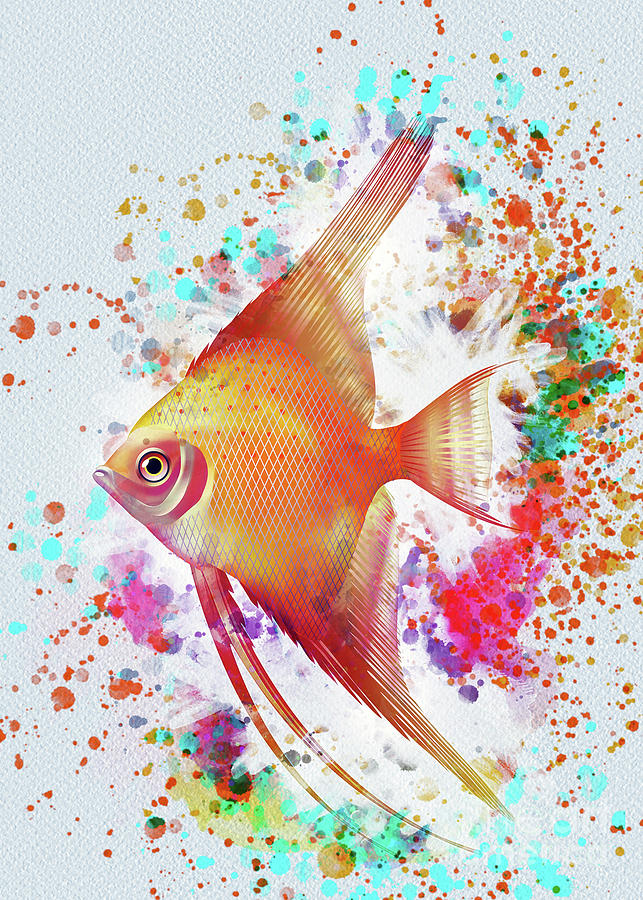 Angel Fish Digital Art