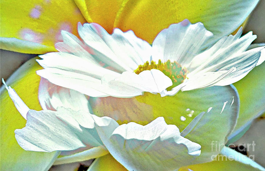 Angel Flowers Digital Art by Tracey Lee Cassin