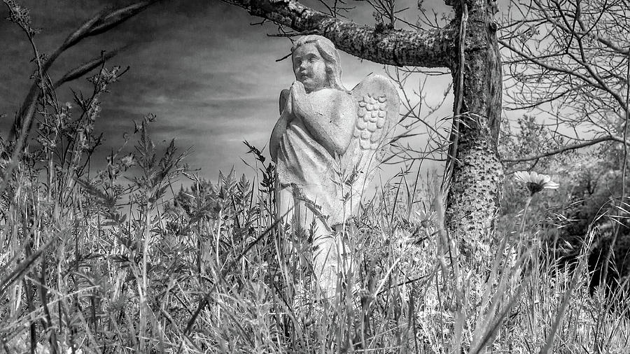 Angel for Nature Photograph by Ivars Vilums