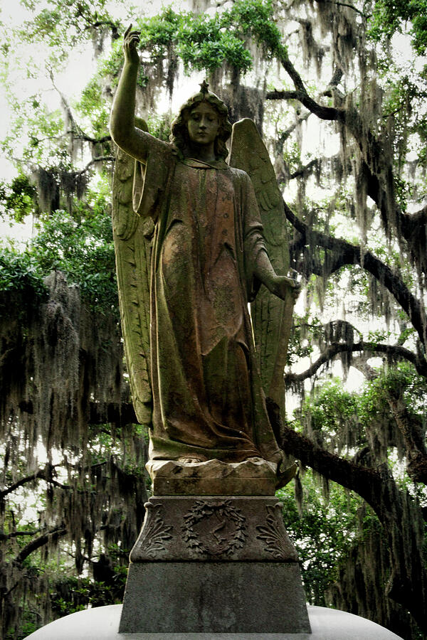 Angel in Moss Photograph by Toni Hopper - Fine Art America