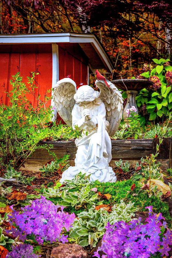 Angel in the Garden   Photograph by Debra and Dave Vanderlaan