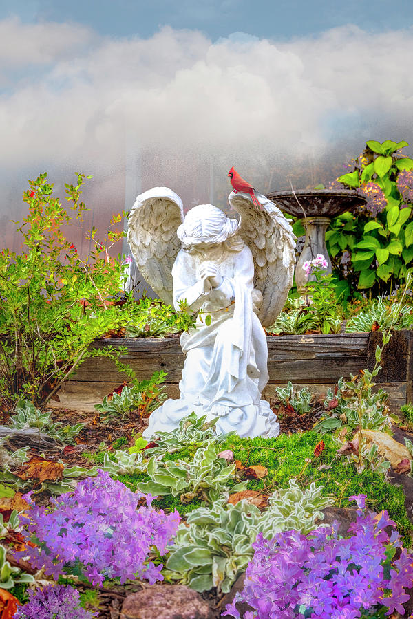 Angel in the Garden in the Clouds Photograph by Debra and Dave Vanderlaan