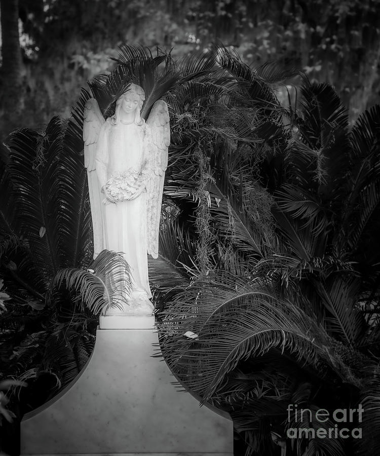 Angel in the Garden of Good And Evil Photograph by Inge Johnsson