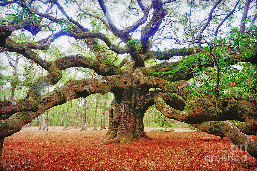 Angel Oak Photo Oil Paint Style Photograph by Martin Konopacki