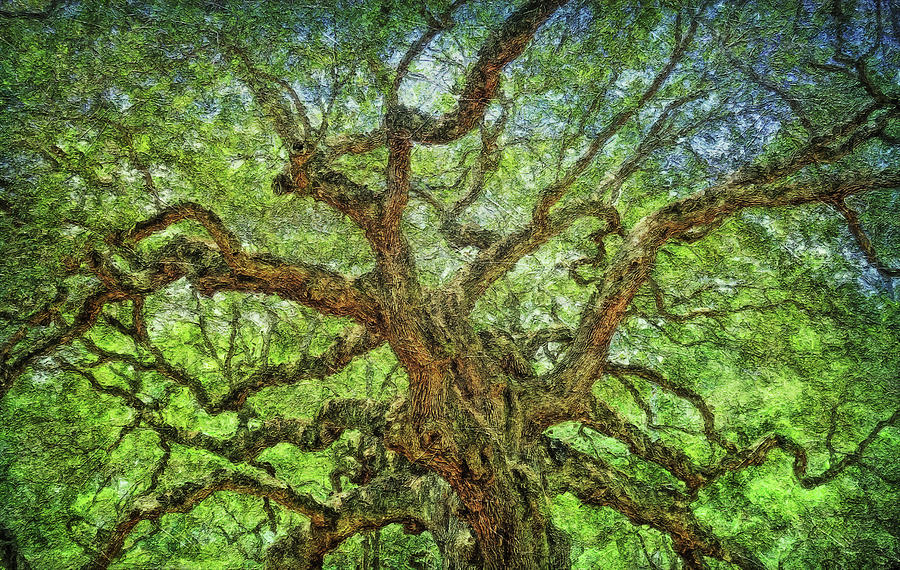 Angel Oak Tree Painting Painting by Dan Sproul