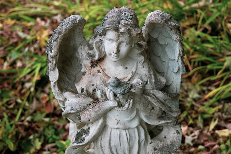 Angel of Creston-1 Photograph by John Kirkland