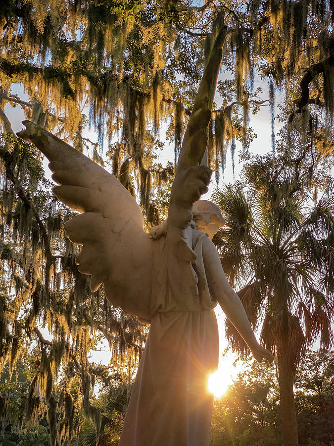 Angel of Light, Amelia Island, Florida Photograph by Dawna Moore Photography