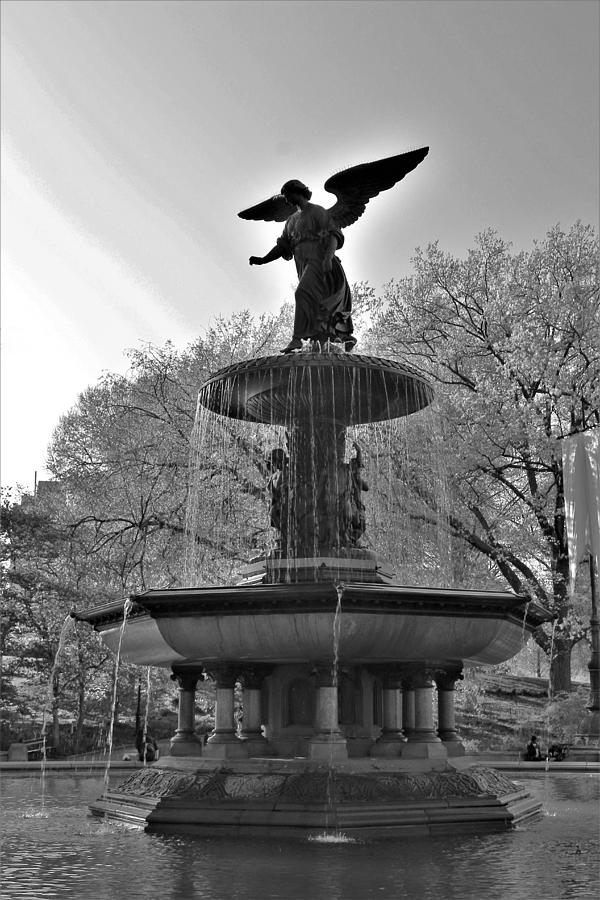 Angel Of The Waters B W Photograph By Carol McGrath - Fine Art America