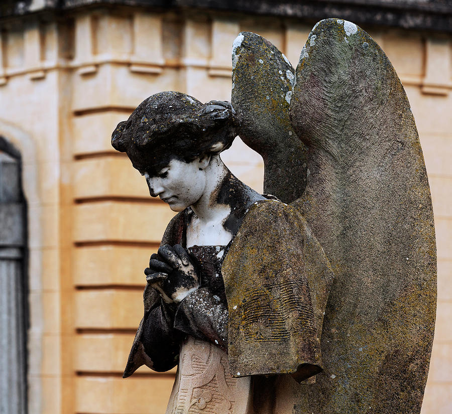 Angel praying in white and dark tones Photograph by Emme Pons - Fine ...