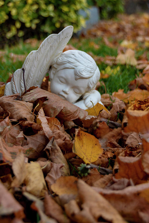Angel Sleeping in the Fallen Autumn Leaves Photograph by John Twynam