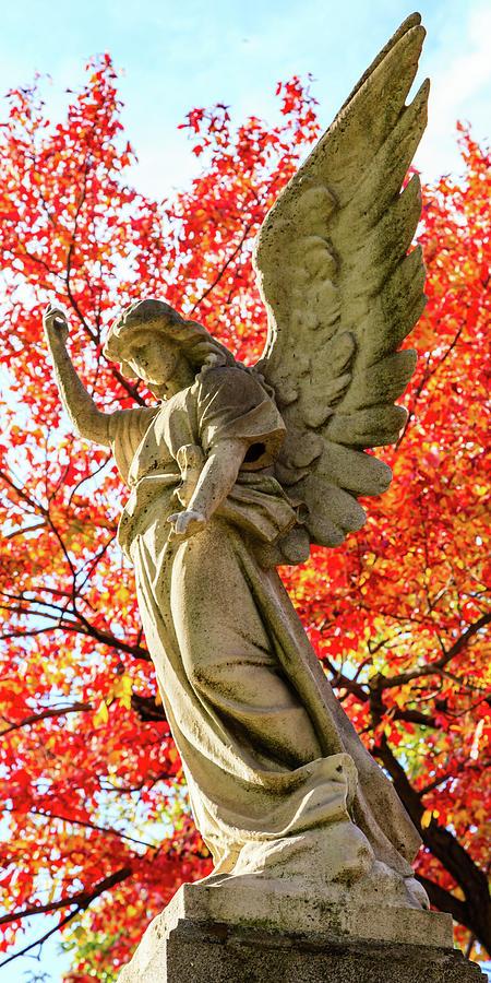 Angel Statue in the Fall Photograph by HawkEye Media