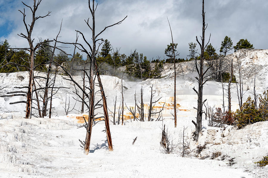 Yellowstone National Park Photograph - Angel Terrace, Yellowstone by Louise Magno