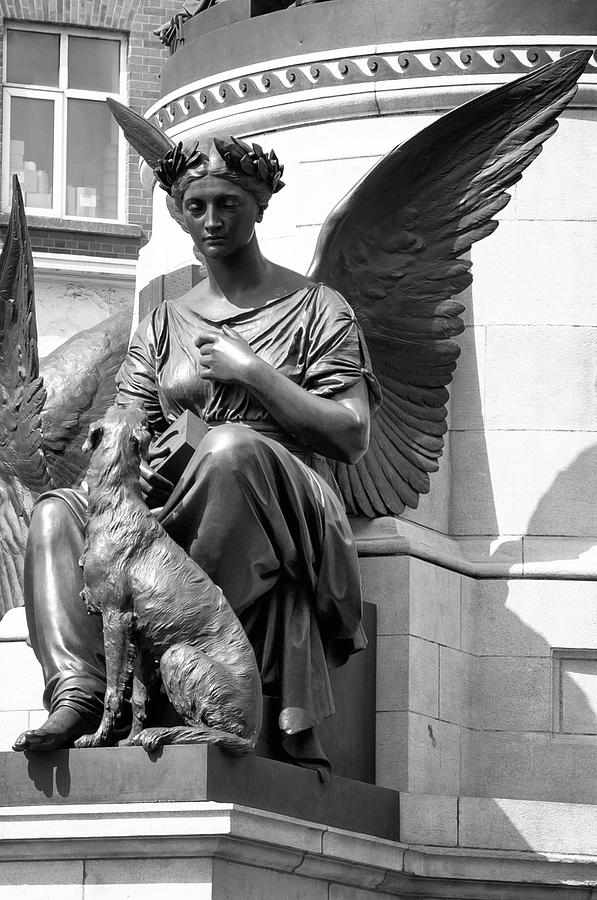 Angel With Dog Photograph by Jill Love