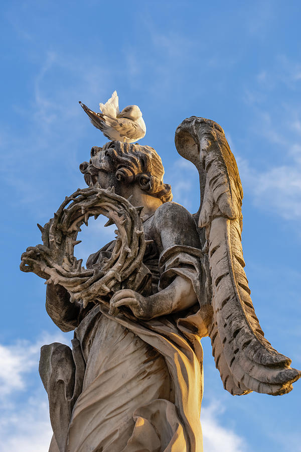 Angel with the Crown of Thorns and Gull Photograph by Artur Bogacki