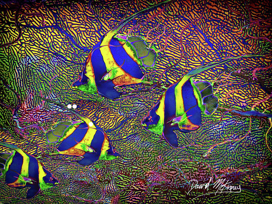 Fish Digital Art - Angelfish Abstract by David McKinney