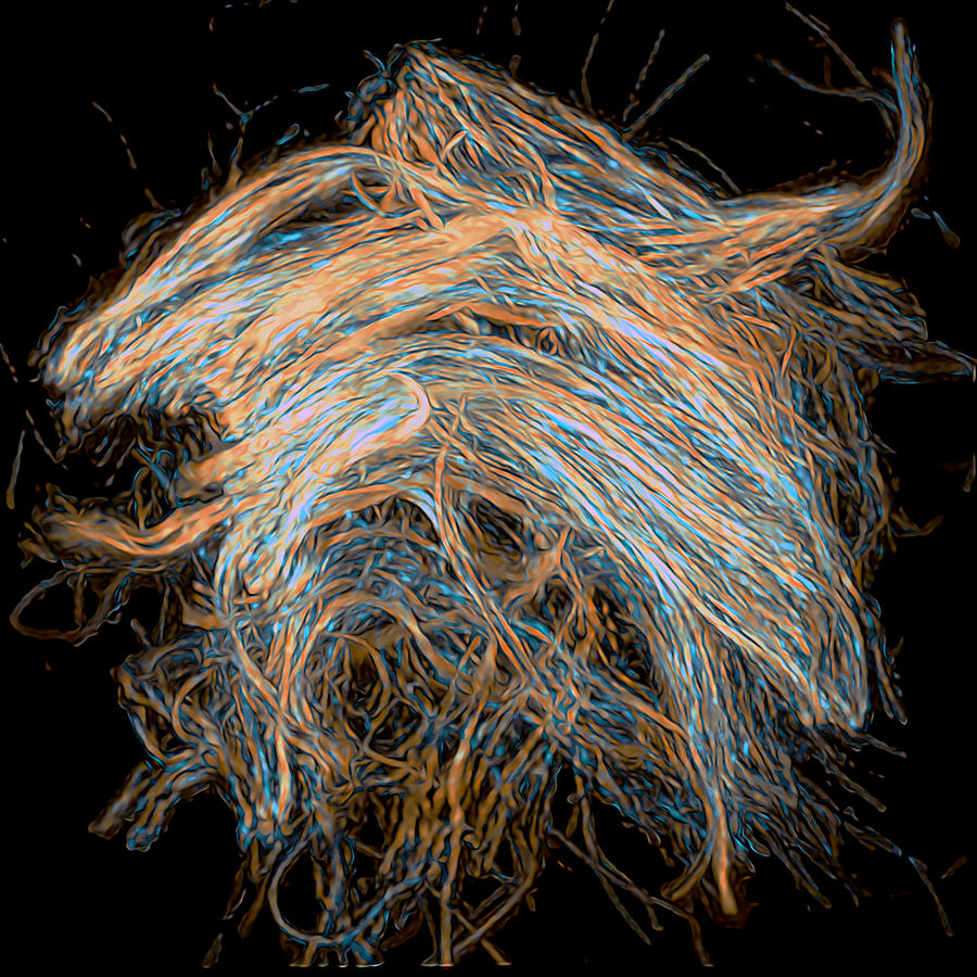 Lung Digital Art - Angelic Fibrils by Art of Microscopy
