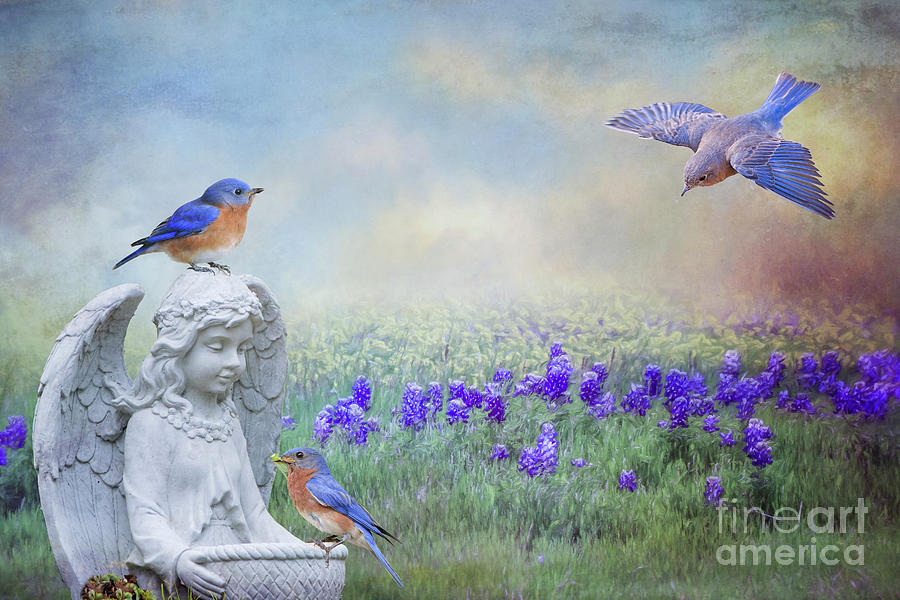 Angels and Bluebirds Photograph by Bonnie Barry
