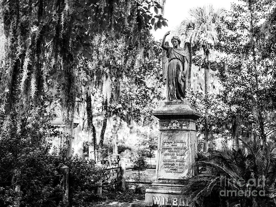 Angels at Bonaventure Cemetery in Savannah Photograph by John Rizzuto