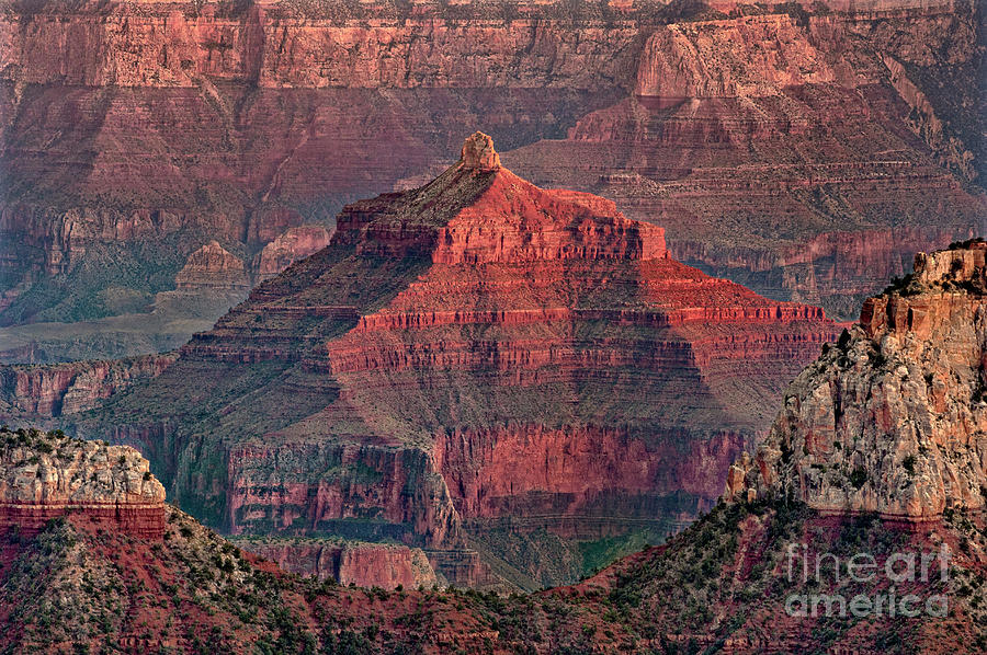 Angels Gate North Rim Grand Canyon National Park Arizo Photograph by Dave Welling