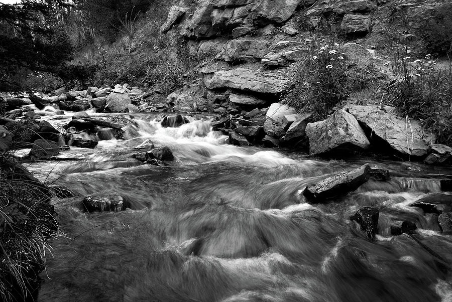 Angels in Purgatory - Purgatory River, Southern Colorado Photograph by Richard Porter
