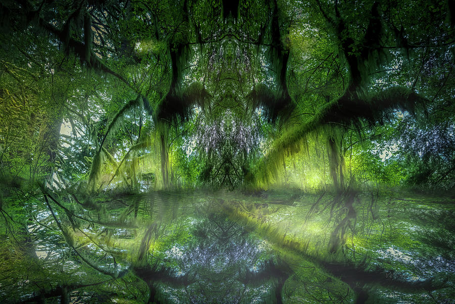 Angels In The Woods Digital Art by Bill Posner