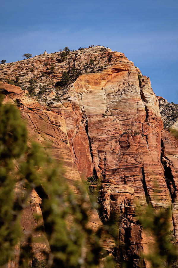 Angels Landing from the Kayenta Trail Photograph by Craig A Walker