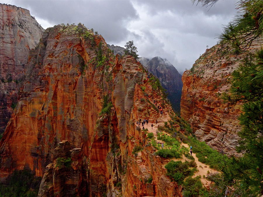 Angels Landing Photograph by Geoff McGilvray