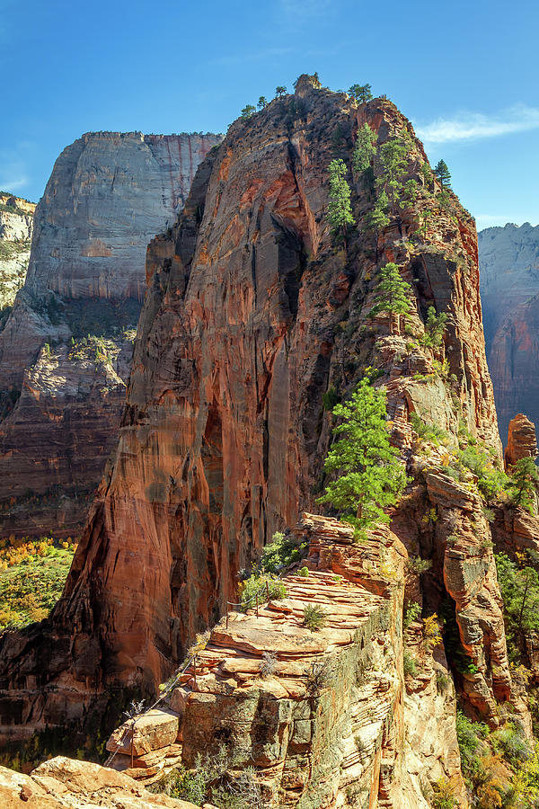 Fall Photograph - Angels landing in Zion by Pierre Leclerc Photography