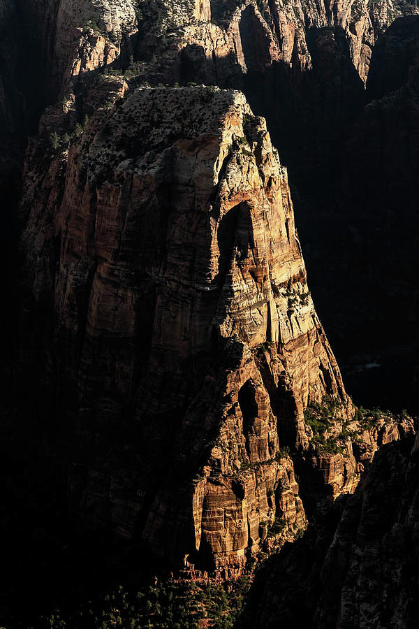 Angels Landing Lit Up in the Morning Photograph by Kelly VanDellen