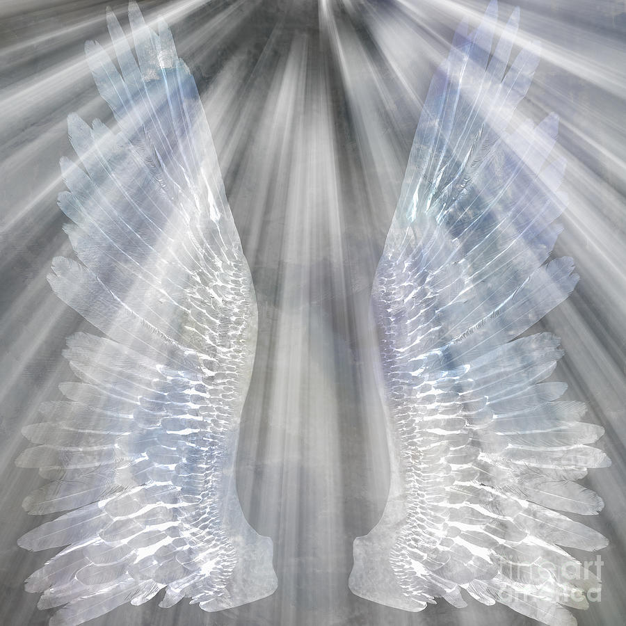 Angels wings and light Digital Art by Bruce Rolff