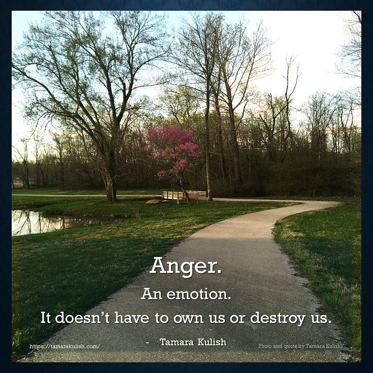 Anger doesnt have to destroy us Photograph by Tamara Kulish