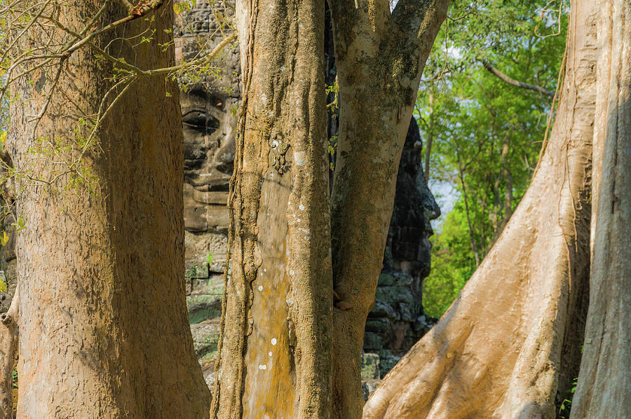 Angkor Thom Faces Photograph by Rob Hemphill