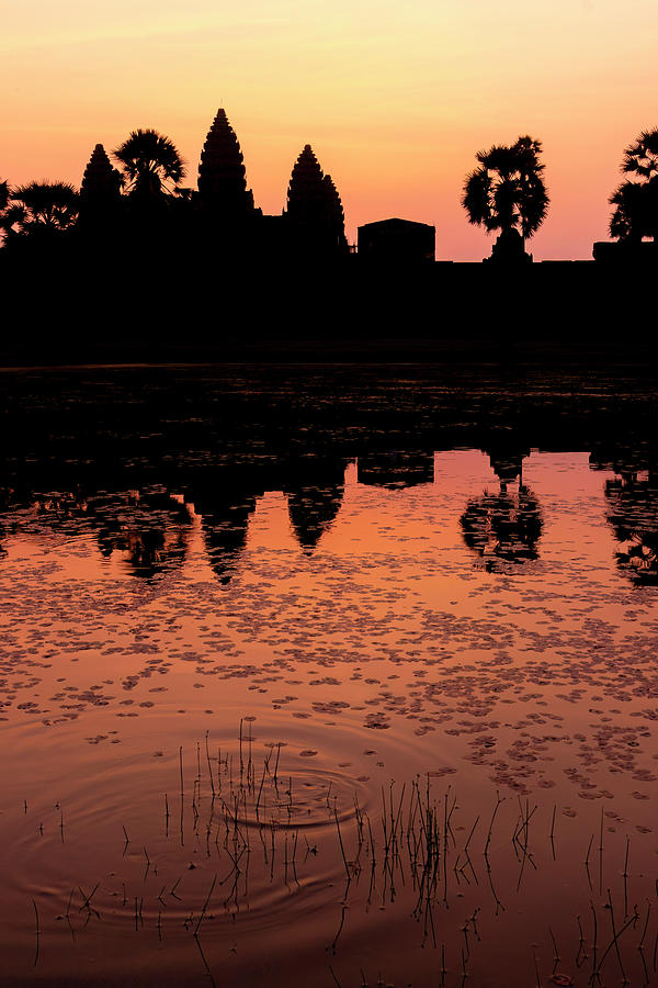 Angkor Wat Sunrise Vertical Photograph by Carolyn Derstine