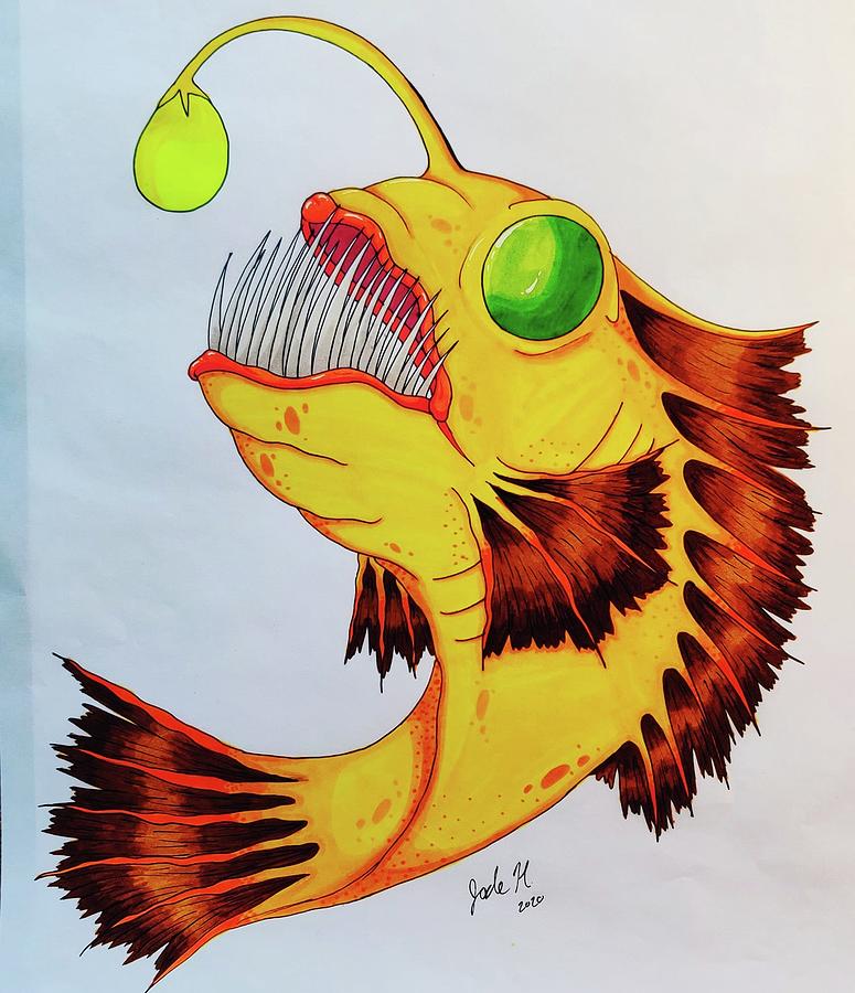 Angler Fish Drawing by Jade Hassenplug - Fine Art America