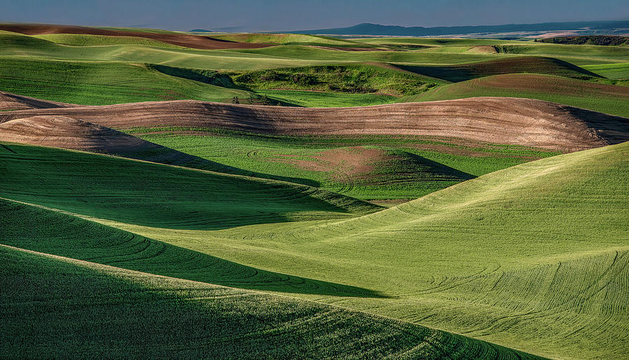Angles, Colors, and Textures of a Palouse Landscape Photograph by Marcy Wielfaert