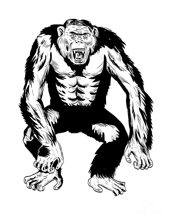 Angry Aggressive Chimpanzee in Fighting Stance Front View Comics Style ...