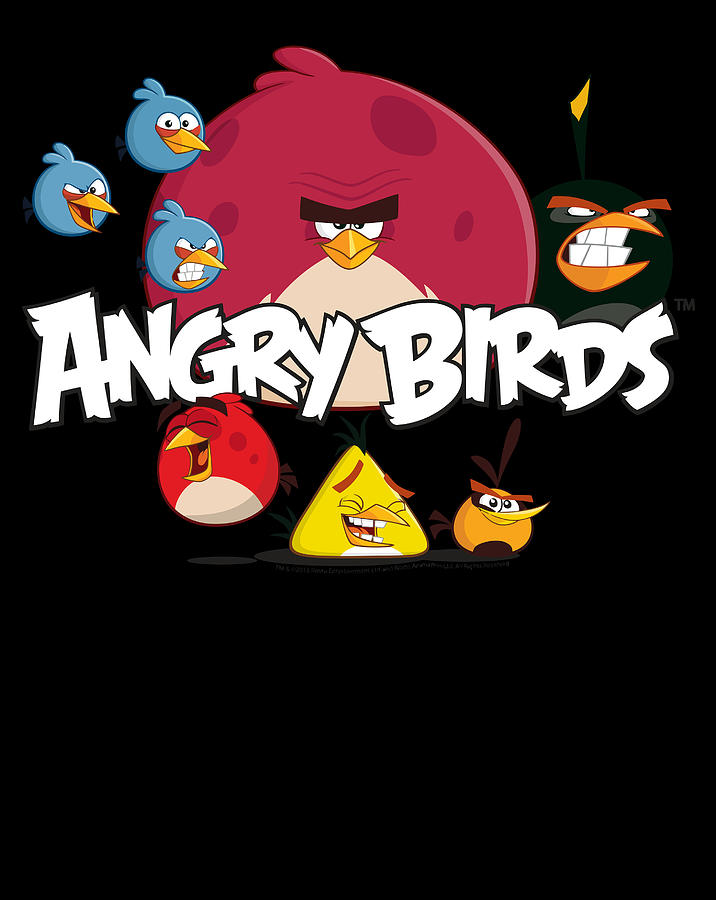 Angry Birds Group Shot Digital Art by Sue Mei Koh