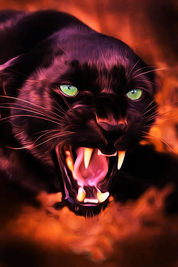 Angry Black Panther Painting by Pascaloup Art - Pixels