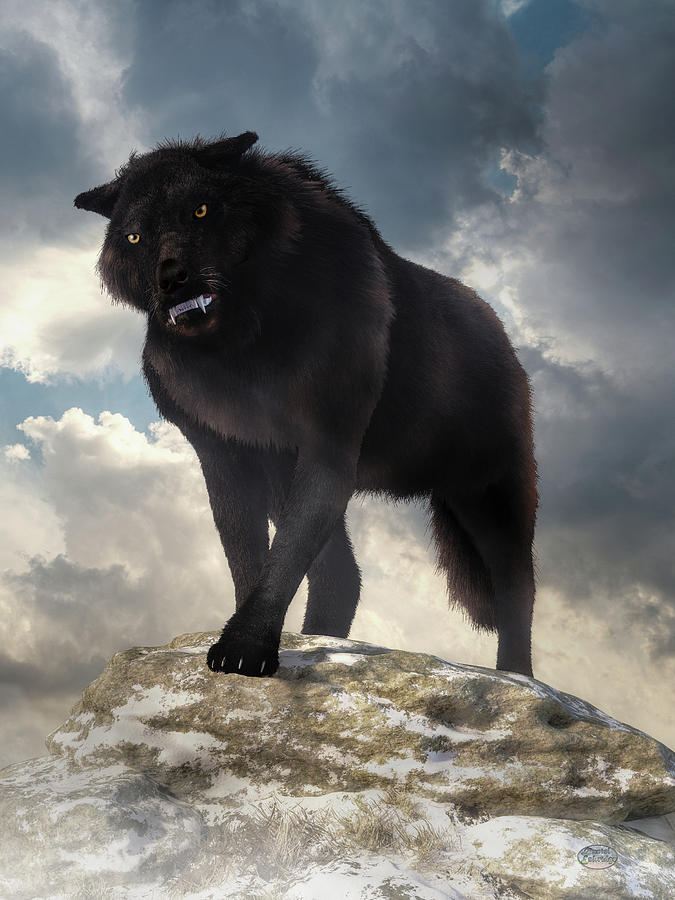 Angry Black Wolf Digital Art by Daniel Eskridge